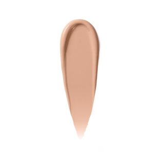 Corrector Renk Düzenleyici