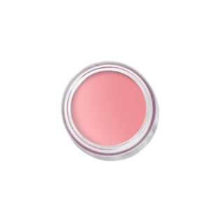 Pot Rouge Velvet Matte, Petal Pink 