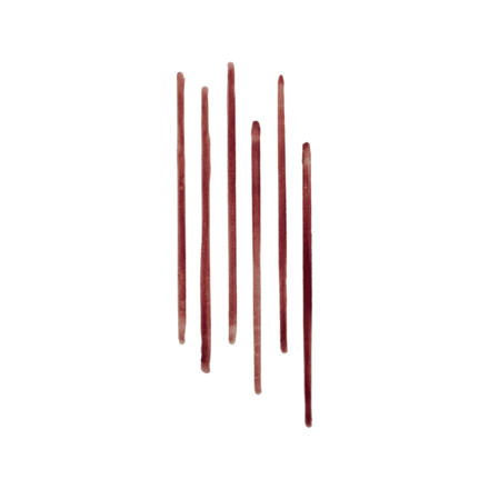 Lip Tint Liner 24 Saat Kalıcı Dudak Kalemi