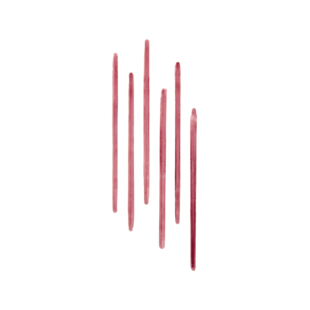 Lip Tint Liner 24 Saat Kalıcı Dudak Kalemi, Rosewood