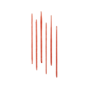 Lip Tint Liner 24 Saat Kalıcı Dudak Kalemi, Terracotta
